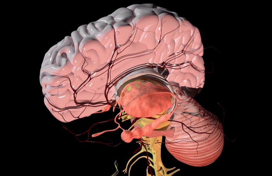 the genius switch™